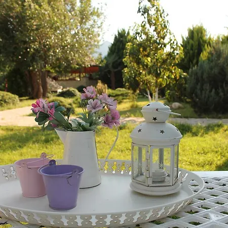 Mercan Bed & Breakfast Datca