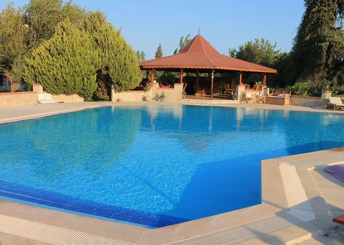 Mercan Oda ve Kahvaltı 2*