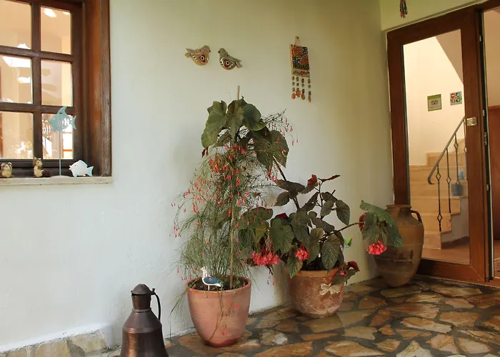 לינה וארוחת בוקר Mercan