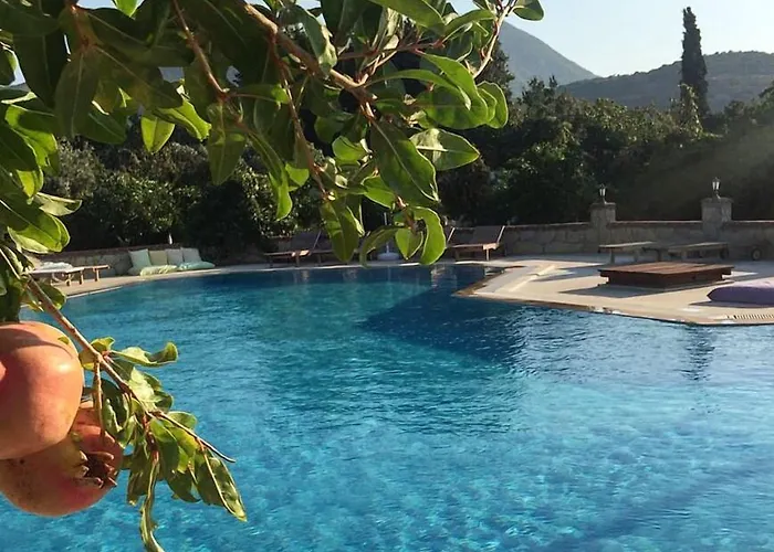 Mercan לינה וארוחת בוקר דטקה