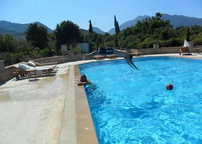 לינה וארוחת בוקר Mercan דטקה