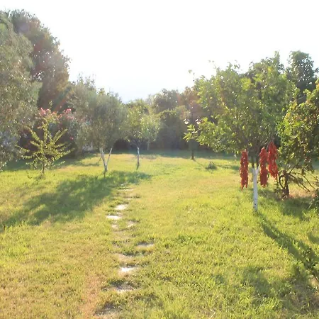 Mercan Bed & Breakfast Datça