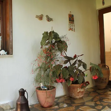 Bed & Breakfast Mercan Datca
